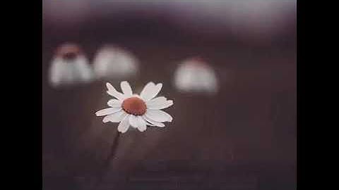 الشيخ صلاح باعثمان - من سورة طه - صوته قريب جدا من الشيخ علي جابر ، رحمه الله.