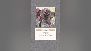 والله يريد أن يتوب عليكم - سورة النساء - القارئ محمد اللحيدان