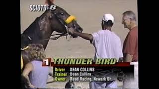 2003 Scioto Downs THUNDER BIRD Dean Collins