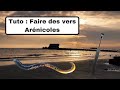 Tuto  faire des vers arnicoles