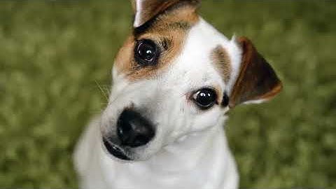 FINAL multi-platform VIDEO due-now test