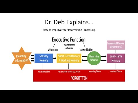 Dr. Deb Explains:  How to Improve Your Information Processing