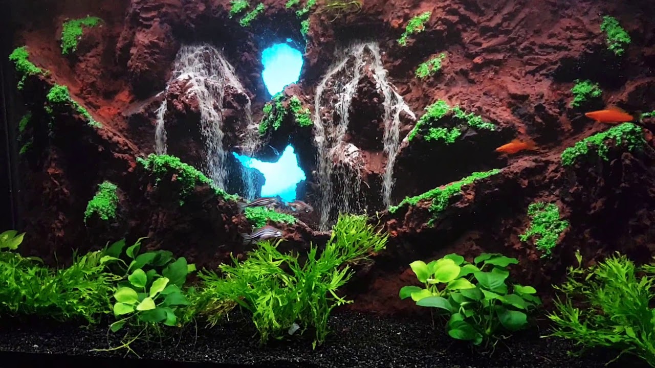 The star Aquarium Sand Waterfall 102 YouTube