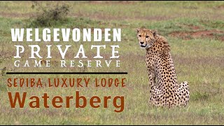 This is NOT the Kruger National Park - it's 'A Long Weekend in the Welgevonden Game Reserve'