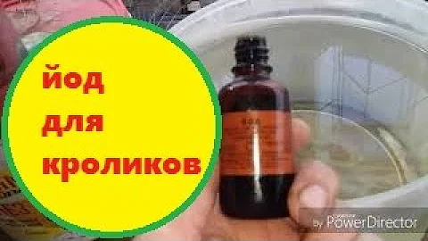 Йод для кроликов//профилактика кокцидиоз