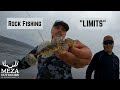 Rock Fishing the California Coast | First Limits on the Boat!