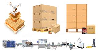 Famous Automatic Premade Pouch Packing Cartoning Palletising System Wealth