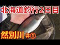 【渓流釣り】北海道渓流釣り２日目！その①然別川で大型ニジマスを狙う！川の規模に似合わずスケールがデカイ！