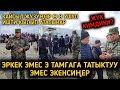 МЫНА САГАА! ТАЖИКТИН ЖҮГҮН ТАШЫГАН ИТ ЭКЕНСИҢЕР