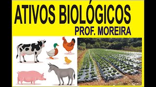 ATIVOS BIOLÓGICOS E PRODUTOS AGRÍCOLAS - CPC 29 - CONTABILIDADE RURAL -