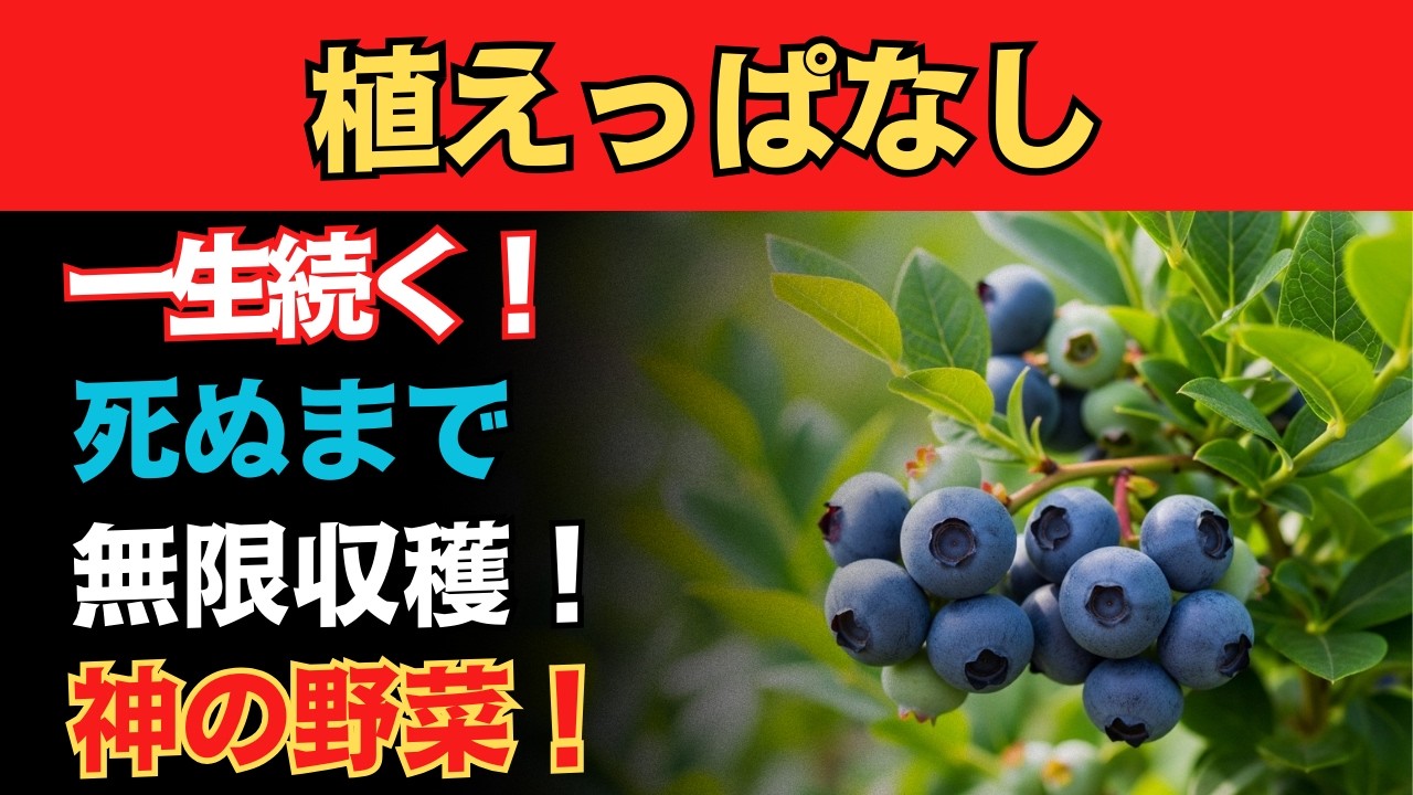 【一生安泰】一度植えたら、無限に獲れ続ける！究極の自給自足野菜10選。