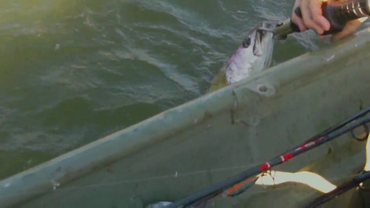 Another Speckled Trout caught on Glass Ghost Rapala YouTube