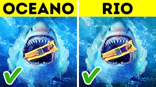 8 Things Sharks Do For You Without You Knowing