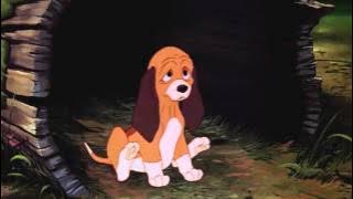 The Fox and the Hound  Tod meets Copper HD