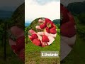 Наше село крај топлице...