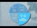 Decision Thinking Principles - Active Stakeholder Participation Explained