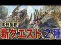 最新アプデで新クエスト『解鎖のアルシュベルド』『その鳥達が見る夢は』2種追加！報酬も確認、新装備はなし【モンハンワイルズ】