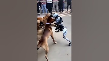 Amazing fight between Indian robot and dog