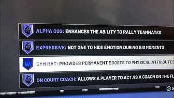 HOW TO GET GYM RAT BADGE BEFORE SUPERSTAR 3 IN NBA2K20