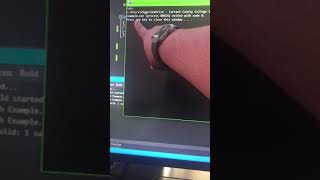 Demonstration Speech- The basics of Coding
