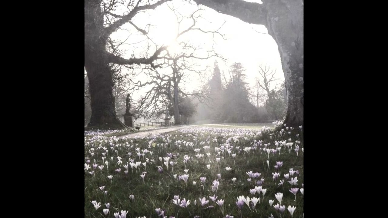 [free for profit] digicore x detune x ambient x type beat - 