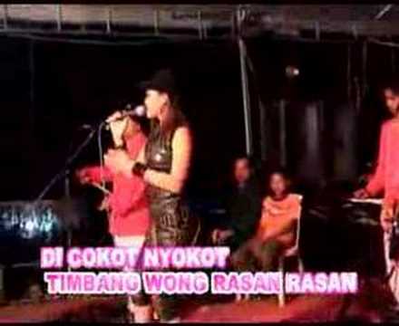 ikabba ( di cokot nyokot )
