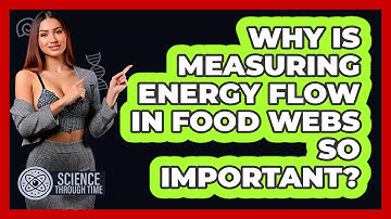 Why Is Measuring Energy Flow In Food Webs So Important? - Science Through Time