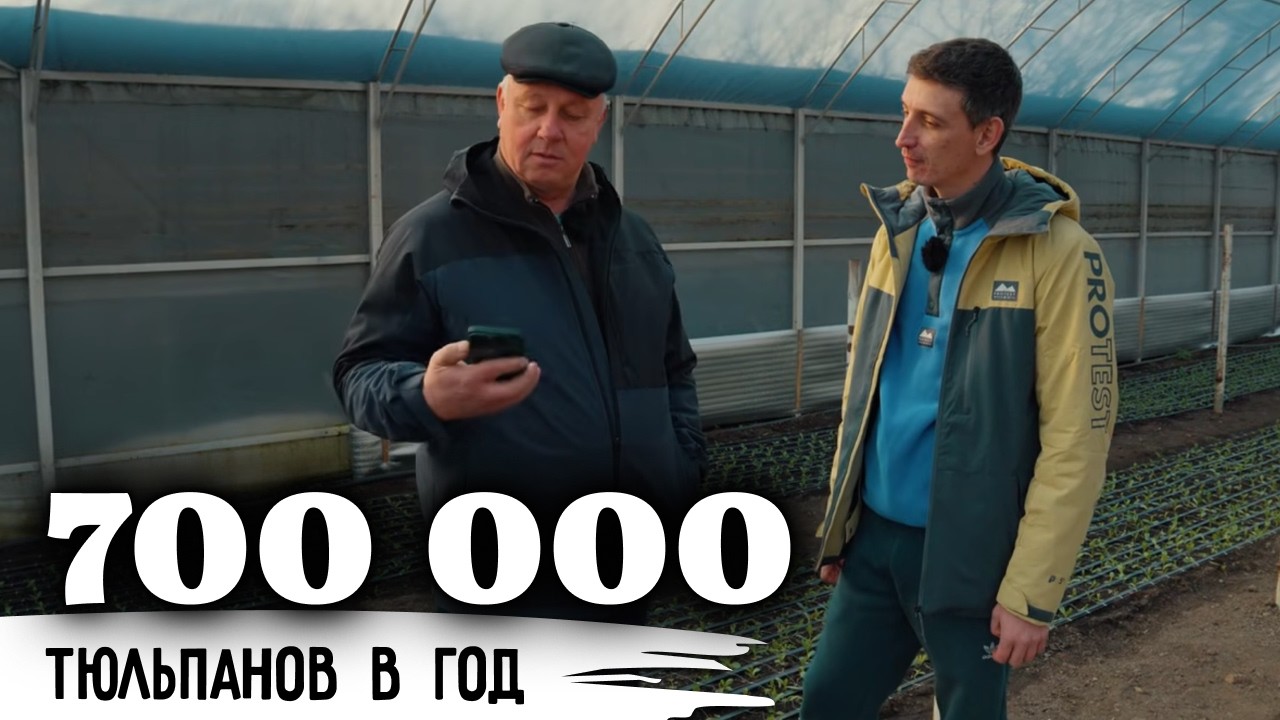 Когда отец верил — а сыновья продолжили//700 000 тюльпанов в год