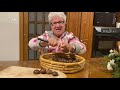 Roasted Chestnuts: Nonna&#39;s Favourite Childhood Christmas Treat; Nutritious &amp; Delicious! (e41)