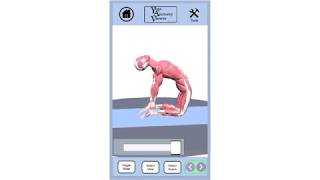 Yogasana Anatomy Viewer screenshot 1