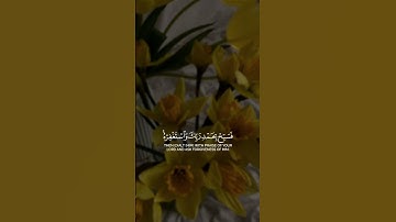 إذا جاء نصر الله و الفتح و رأيت الناس يدخلون في دين الله أفواجا || القارئ: مشاري العفاسي