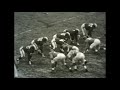 NFL Weekly Highlights (1951)