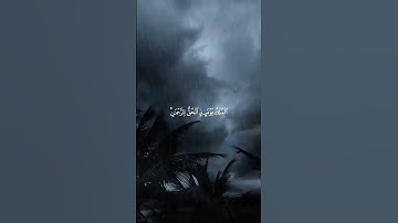 القارئ : ياسر الدوسري﴿ الْمُلْكُ يَوْمَئِذٍ الْحَقُّ لِلرَّحْمَٰنِ ۚ وَكَانَ يَوْمًا﴾[ الفرقان: 26]