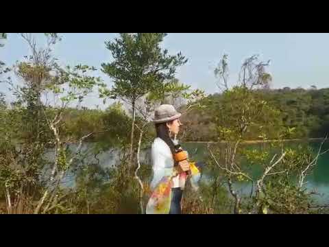 老地方的雨(DJ版)～雯雯🎙🎵 2021年1月29日