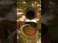 Herbs 🌿 coffee ☕️ #cooking #noveoutdoors #food #campfiremagic #outdooradventure #outdoorcooking