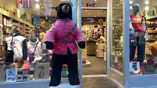 Calgary\/downtown 🇨🇦😄😎