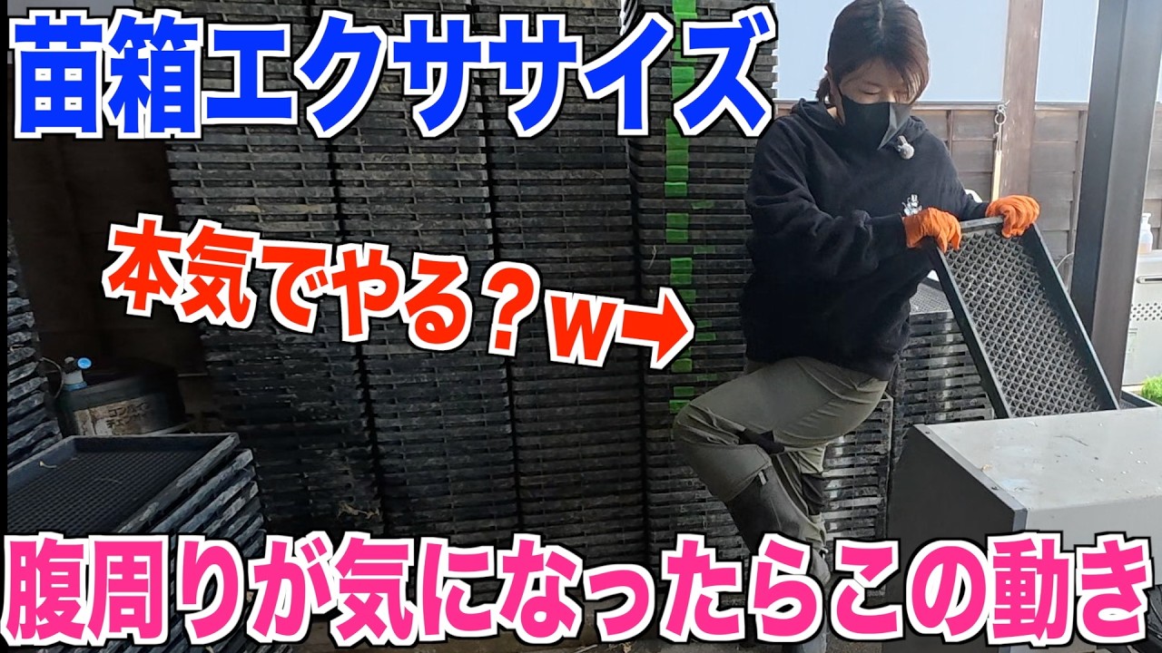 苗箱洗い】苗箱エクササイズを今年もやる 苗箱洗いまでが田植え 米作り
