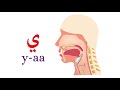 نطق حرف الياء 
