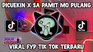 DJ DICUEKIN X SA PAMIT MO PULANG HAPPY TEAM VIRAL TIKTOK 2024