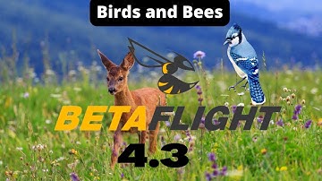 How to Betaflight 4.3 Flash and Test  #howto #betaflight