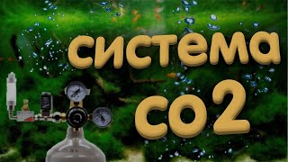 💡 Баллонная система подачи CO2 в аквариум. От А до Я.