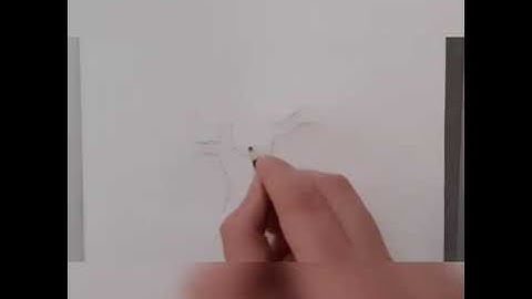 Drawing an oak tree