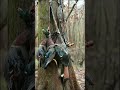 Good duck hunt!!!!!!