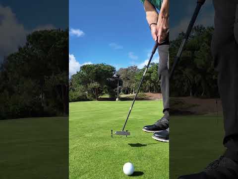 Tiger’s Favorite Putting Drill  #golfswing #golftips