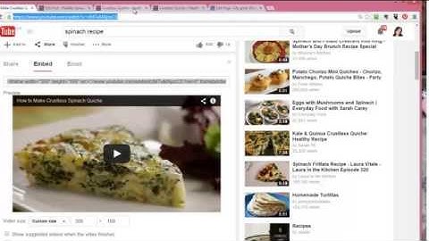 07 Adding Video to your Wordpress Posts or Pages - Wordpress Training