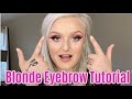 Eyebrow Tutorial for Blondes | DETAILED Tutorial