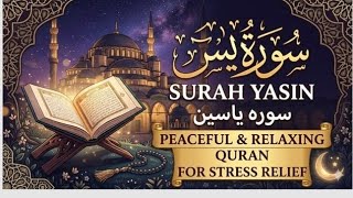 live quran tilawat, online quran class. screenshot 2