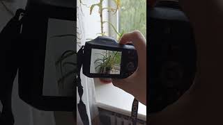 💥Camera Sony Cyber-shot DSC-100 Black 16.1MP digital vintage compact retro rare💥WORKing CHEAP💥