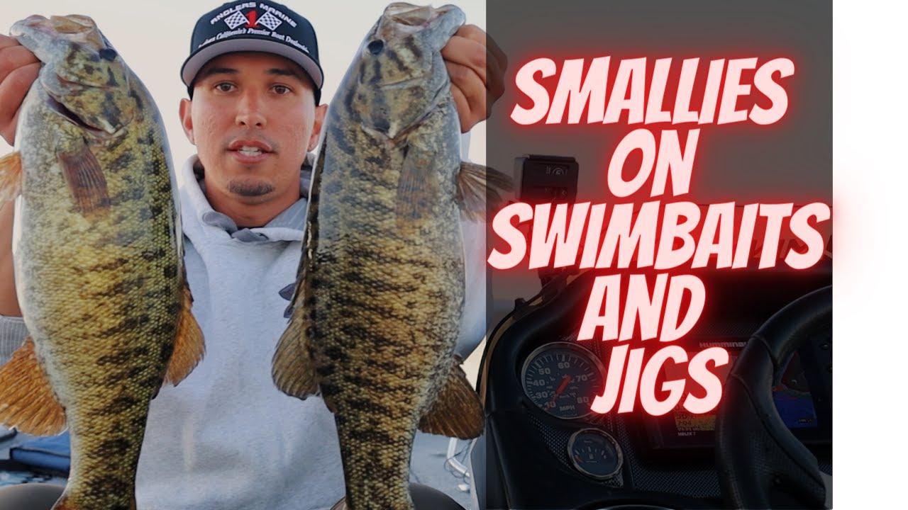 Smallmouth bass caught on swimbaits and jigs (winter time fishing with jigs and swimbaits)AZ fishing