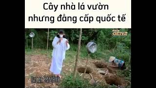 Ban nhạc cây vuờn lá nhà ( OsCar BAMBOO )